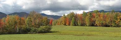 We did not find results for: Wiessner Woods Stowe Land Trust