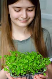 Win a bundle of National Trust Children's Gardening Tools