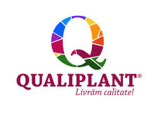 99 locuri de muncă de soferi disponibile pe indeed.com. Orderly Highlight Ringback Locuri De Munca Ca Distribuitor Whisksandwit Com