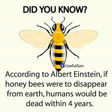 Let This Sink In As Trump Republikkkans Roll Back Environmental Protections Bee Facts Bee Save The Bees