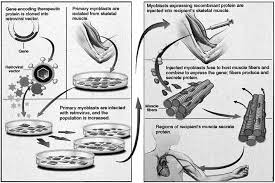 Cell migration and neuronal differentiation: signaling programs in space  and time