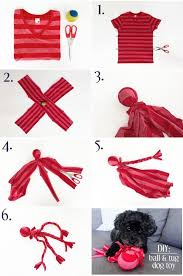 Un Jouet Pour Petit Chien Fait Maison Jouets Pour Chiens Faits Maison Jouets Pour Animaux De Compagnie Petit Chien