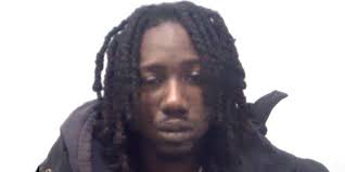 Essex Police Dispatch