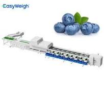 High Quality Blueberry Sorters - Efficient Grading Solutions