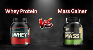 Top 5 best weight gainers. Whey Protein Vs Mass Gainer Battle Of Supplements