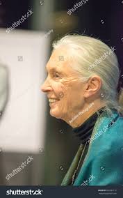 5 Agnes Irwin School Royalty-Free Images, Stock Photos & Pictures