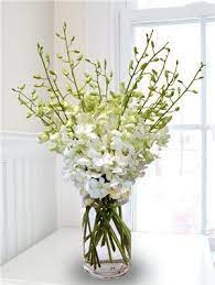 Purity Who Delivers White Orchids Orchid Delivery Orchid Vase White Orchids White Orchid Bouquet