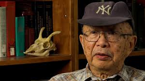 Ken Kawata Interview