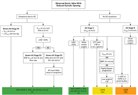 2020 Acc Aha Guideline For The Management Of Patients With Valvular Heart Disease A Report Of The American College Of Cardiology American Heart Association Joint Committee On Clinical Practice Guidelines Circulation
