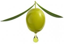 100 Pure Organic Olive Squalane Oil Imported From Italy Sweet Essentials