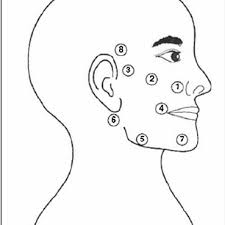 Simple exercises include wrinkling your nose, smiling wide, frowning, opening your mouth wide, raising eyebrows, winking and blinking your eyes can help to promote healing. Point Of Laser Application Used In The Treatment Of Bell S Palsy Download Scientific Diagram