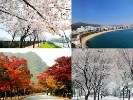 Maybe you would like to learn more about one of these? Korea Tourism Organization Indonesia Article