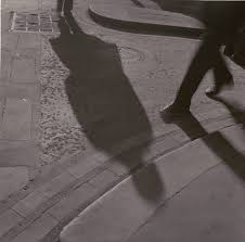 Image result for Gray 1971 Fleet