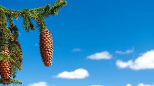 Image result for site:byggahus.se Trivselhus