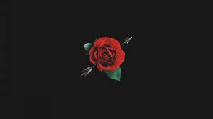 Pin by lauv on computer wallpaper pc desktop wallpaper aesthetic. Free Download Dark Aesthetic Rose Blurry Rose Wallpaper 2200x3300 For Your Desktop Mobile Tablet Explore 49 Red Roses Aesthetic Wallpapers Red Roses Aesthetic Wallpapers Red Aesthetic Wallpaper Wallpaper Red Roses