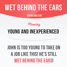Don T Bite The Hand That Feeds You Meaning Wet Behind The Ears Means Young And Inexperienced Example John Is Too Young To Take On A Job Like This English Phrases English Idioms Idioms And Phrases