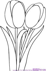 We did not find results for: How To Draw A Tulip Flower Easy Step By Step