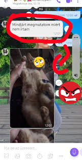 Image result for tbn:and9gcrrphfqk2htxoeugy-e_drtm4nbtknhjyctgyumwmh9ojfpembyvncycz8