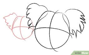 How to draw a cartoon koala. How To Draw Koala Bears 9 Steps With Pictures Wikihow