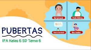 Kumpulan buku ilmu pengetahuan alam (ipa) sd/mi kelas 1,2,3,4,5,6 tahun pelajaran. Pubertas Pertumbuhan Perkembangan Manusia Ipa Kelas 6 Sd Tema 6 Semester 2 Youtube