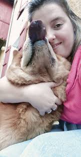 Du royaume des chiens ours