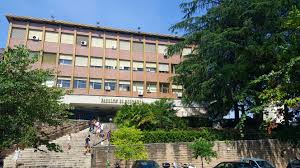Image result for facolta di letteratura 1981 2021