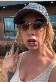 Christmas Painyed Windows