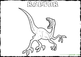 Utahraptor and transparent png images free download. Raptor Coloring Pages Download And Print For Free
