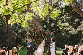 Elandskloof Farm Cottages Forest Wedding Venue In Overberg Forest Wedding Venue Wedding Venues Farm Cottage