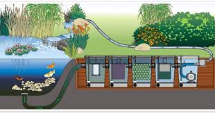 Gravity Fed Filter Systems Pond Filter System Pond Filters Ponds Backyard