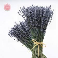 Please advise of your wedding date in the notes section when you place your order.florence and flowers specialise in creating bespoke wedding designs using natural. 50 Pcs Lavender Natural Dried Flower Bouquet For Wedding Party Decoration Diy Flower Garden Living Room Decor Photo Props Sachet Big Offer 9fe8 Cicig