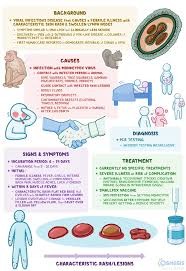 Image result for Monkeypox