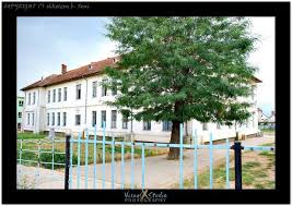 ОШ Тефик Чанга, Урошевац