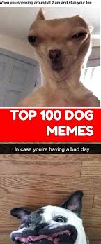 Funny Wedding Pictures Bridesmaids Funny Wedding Pictures In 2020 Funny Babies Funny Dog Memes Sleep Funny