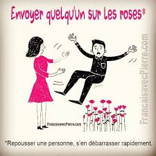 Expression Francaise Envoyer Quelqu 39 Un Sur Envoyer Expression Francaise Quelqu39un Sur French Expressions French Language Learn French