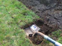 Perennial weeds, such as bermuda grass and nutsedge, shown here in 2019, are the hardest to control because they can establish an extensive underground root structure that survives for years.(file. How To Kill Bermuda Grass Organically Mike S Backyard Nursery