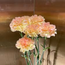 熊本 花屋 はな輔