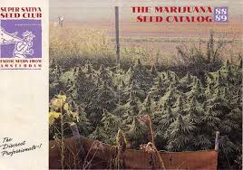 Amsterdam marijuana seeds bank sends seeds in stealth packages usually same day or the next day. Old Seed Bank Catalogues Overgrow Com