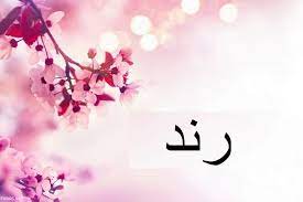 ما معنى اسم رند وما هي أهم الصفات الشخصية لحامل الاسم إيجي برس