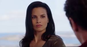 Брайан спайсер, майя врвило, ларри тенг. Hawaii Five 0 Star Says Filming Series Finale Was Super Emotional