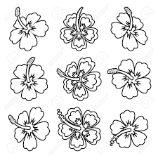 Flower outline flower svg flower clipart flower silhouette silhouette vector silhouette design hawaiian flower block 2 was designed by leona mccann. Black Vector Hibiscus Flower Outline Icons On White Royalty Free Cliparts Vectors And Stock Illustration Image 48769676