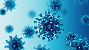 Deze symptomen wijzen op besmettelijkere britse variant van © aangeboden door business am er zijn voor het eerst besmettingen met de braziliaanse variant van het coronavirus. Nieuwe Variant Coronavirus Ontdekt In Limburg 1limburg Nieuws En Sport Uit Limburg