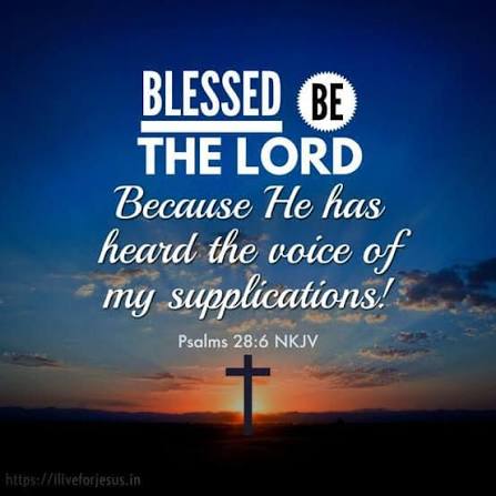 Psalm 28:6 6 Praise be to the Lord, for he has heard my cry for mercy.  #bible_verse_of_the_day
