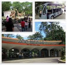 Maybe you would like to learn more about one of these? Kuala Lumpur National Zoo Attractions Wonderful Malaysia