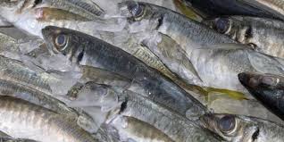 4 ~ 5 tangkai cili padi. Khasiat Pada Ikan Kembung Sebenarnya Lebih Tinggi Daripada Ikan Salmon