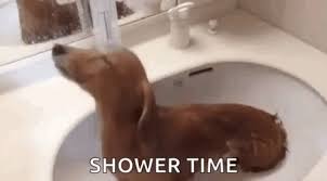 Shower time for the girls (2006). Puppy Shower Shower Time Gif Puppyshower Showertime Bathtime Discover Share Gifs