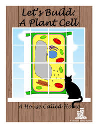 Growing Some Plant Cells Plant Cell Plant Cell Parts Fun Science