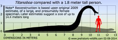 Titanoboa