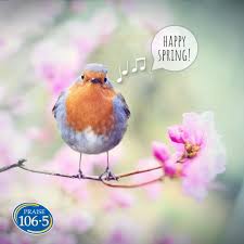 Who else loves Spring?!!! ❤🐦