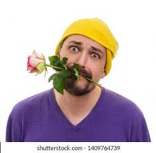 Apology Rose: Over 2,049 Royalty-Free Licensable Stock Photos